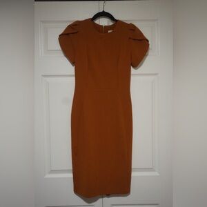 Calvin Klein Rust Midi Dress